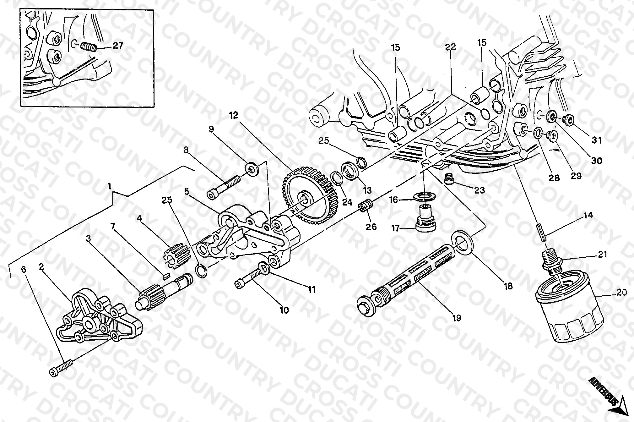 Oil Pump - Filter