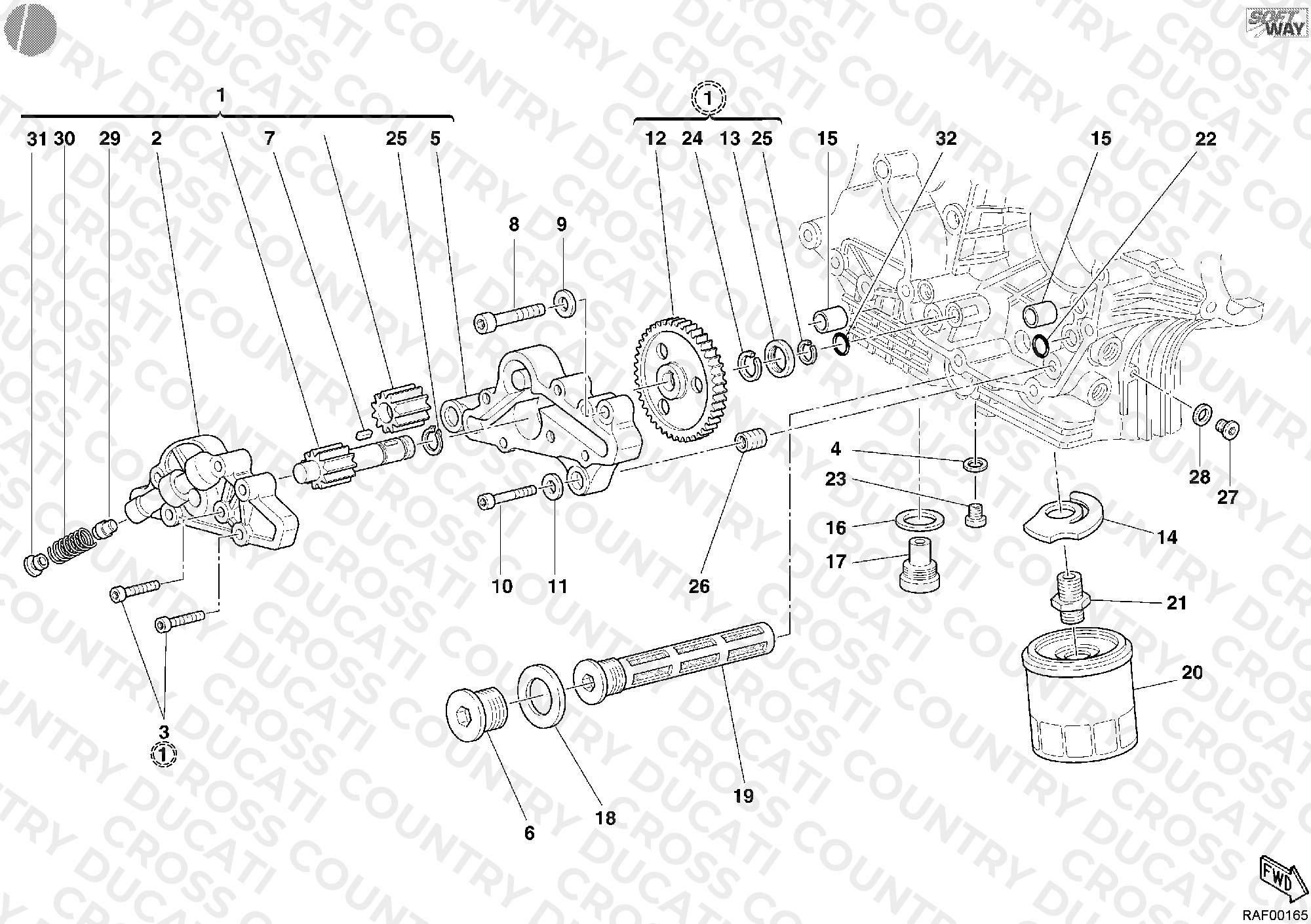Oil Pump - Filter