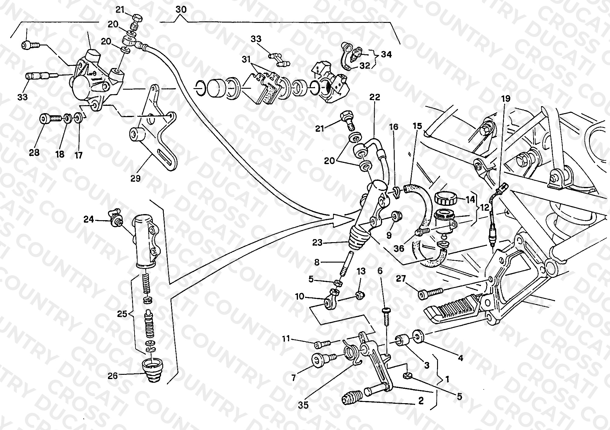 Rear Brake System