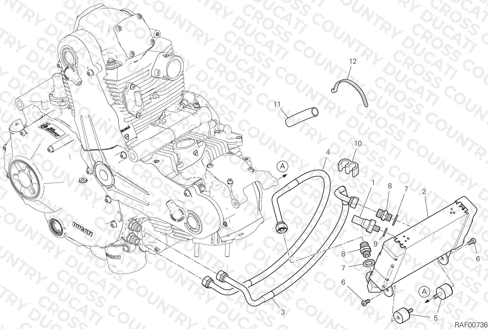 Oil Cooler