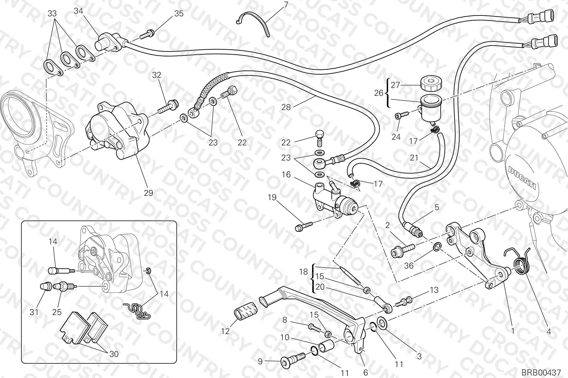 Rear Brake System