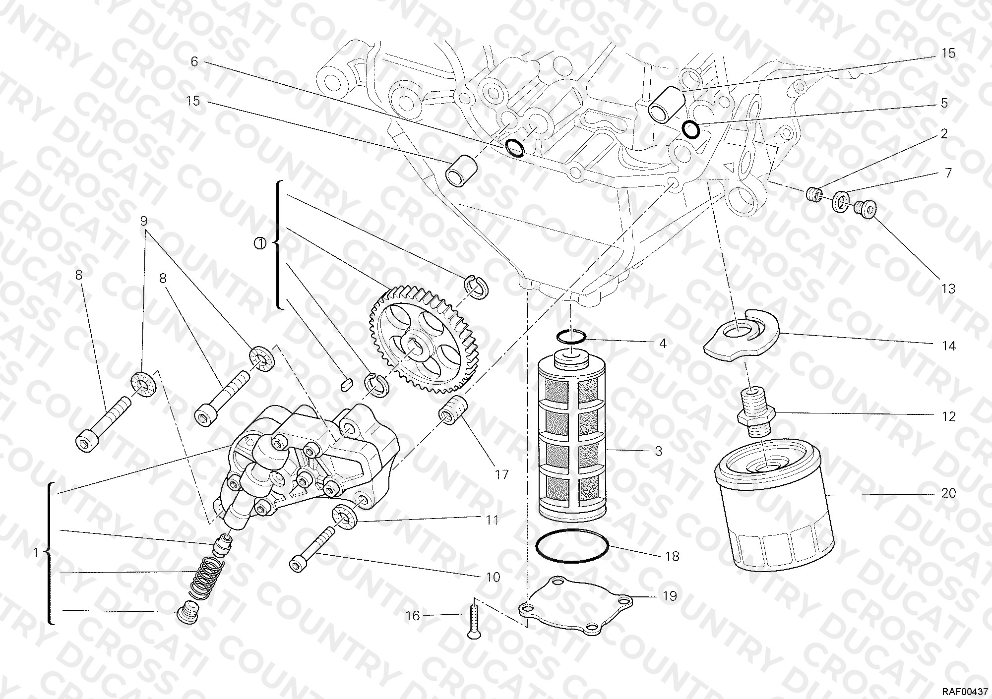 Oil Pump - Filter