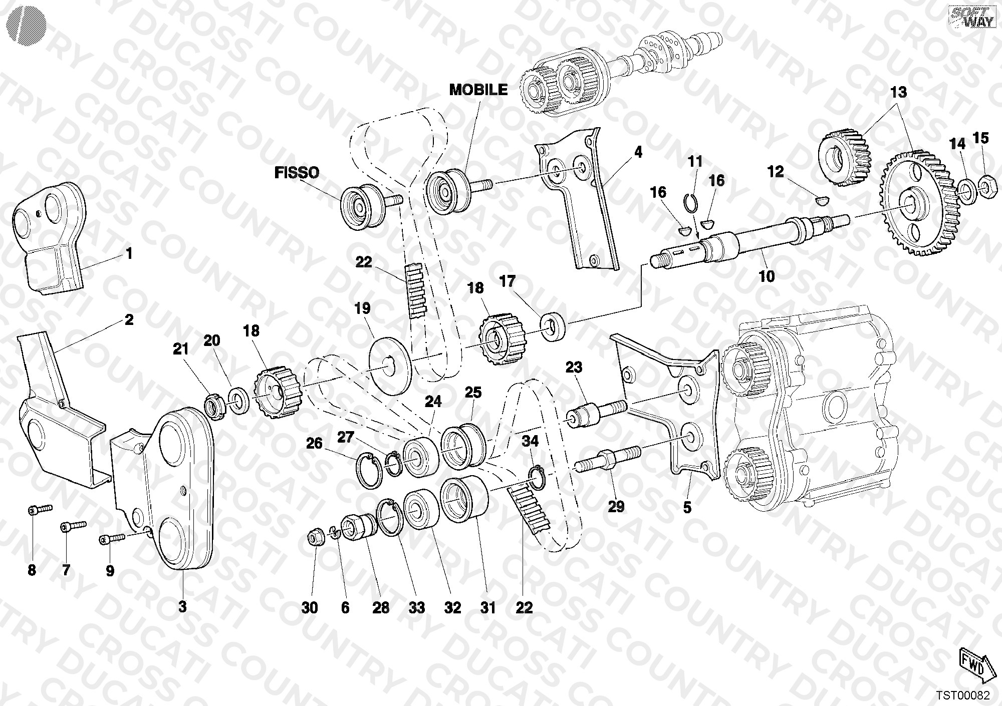 Timing Belt