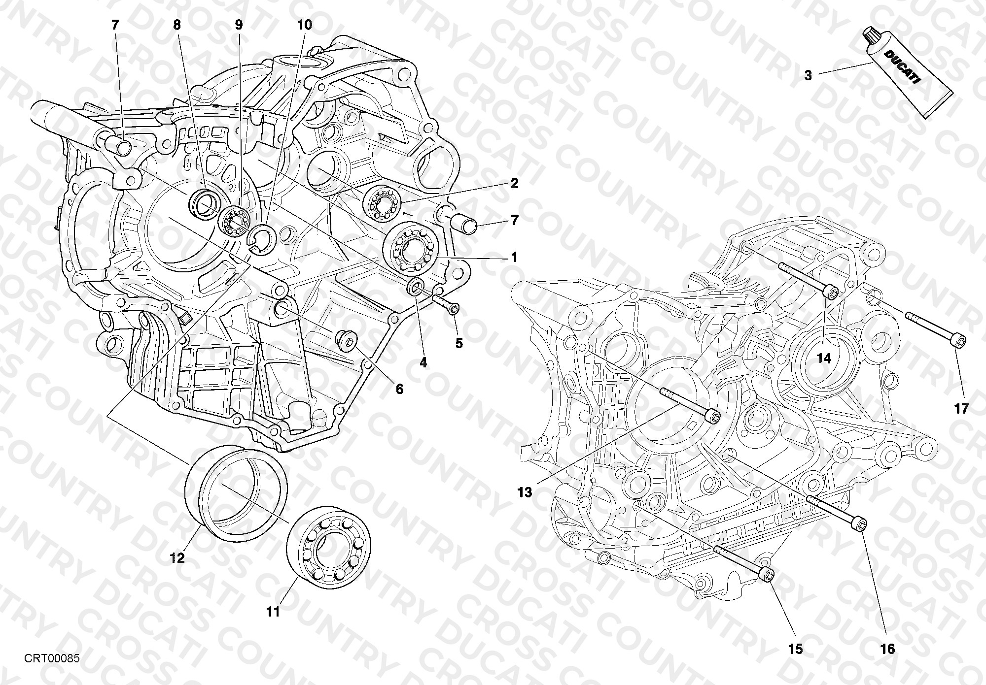 Crankcase Bearings