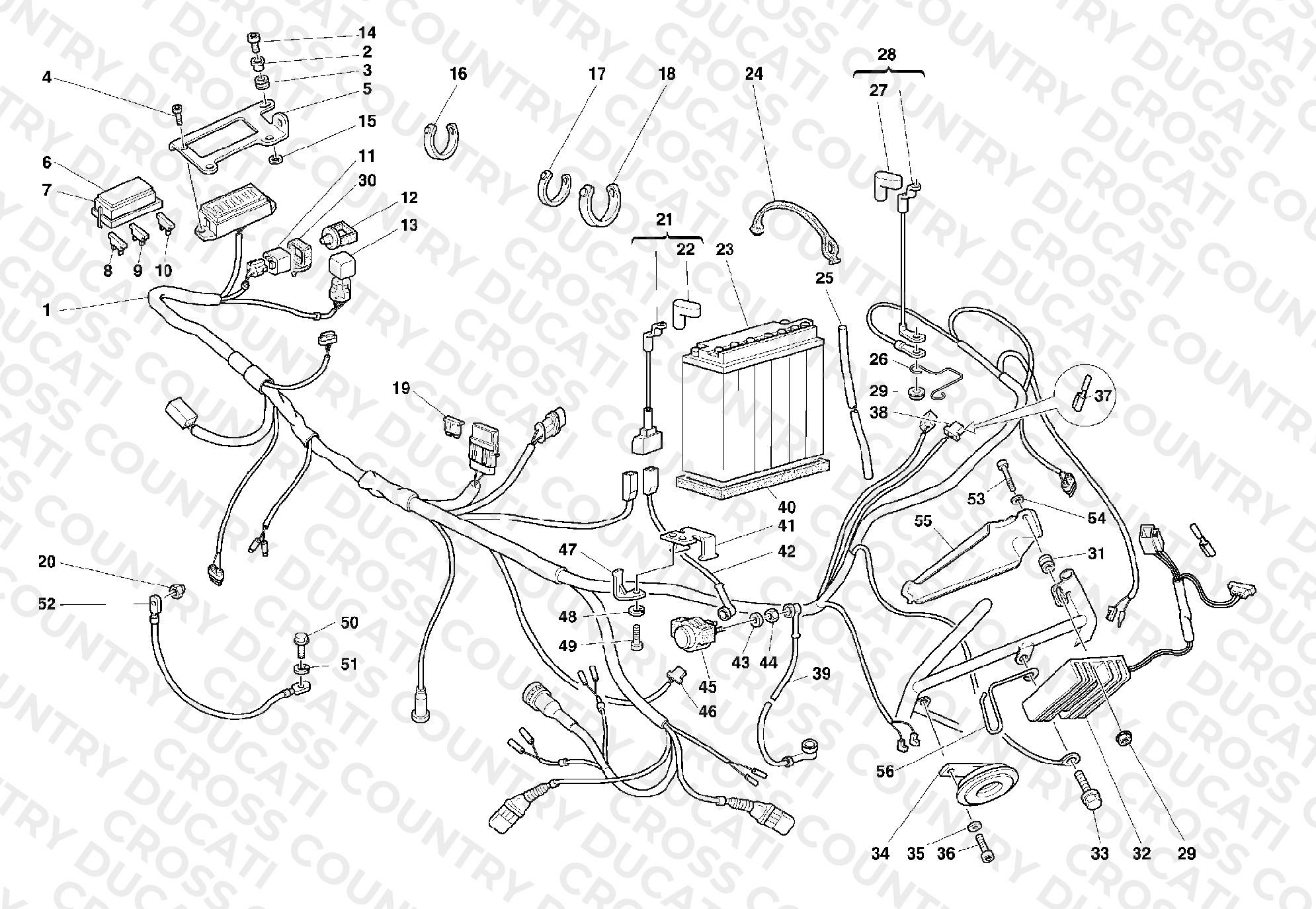 Wiring Harness