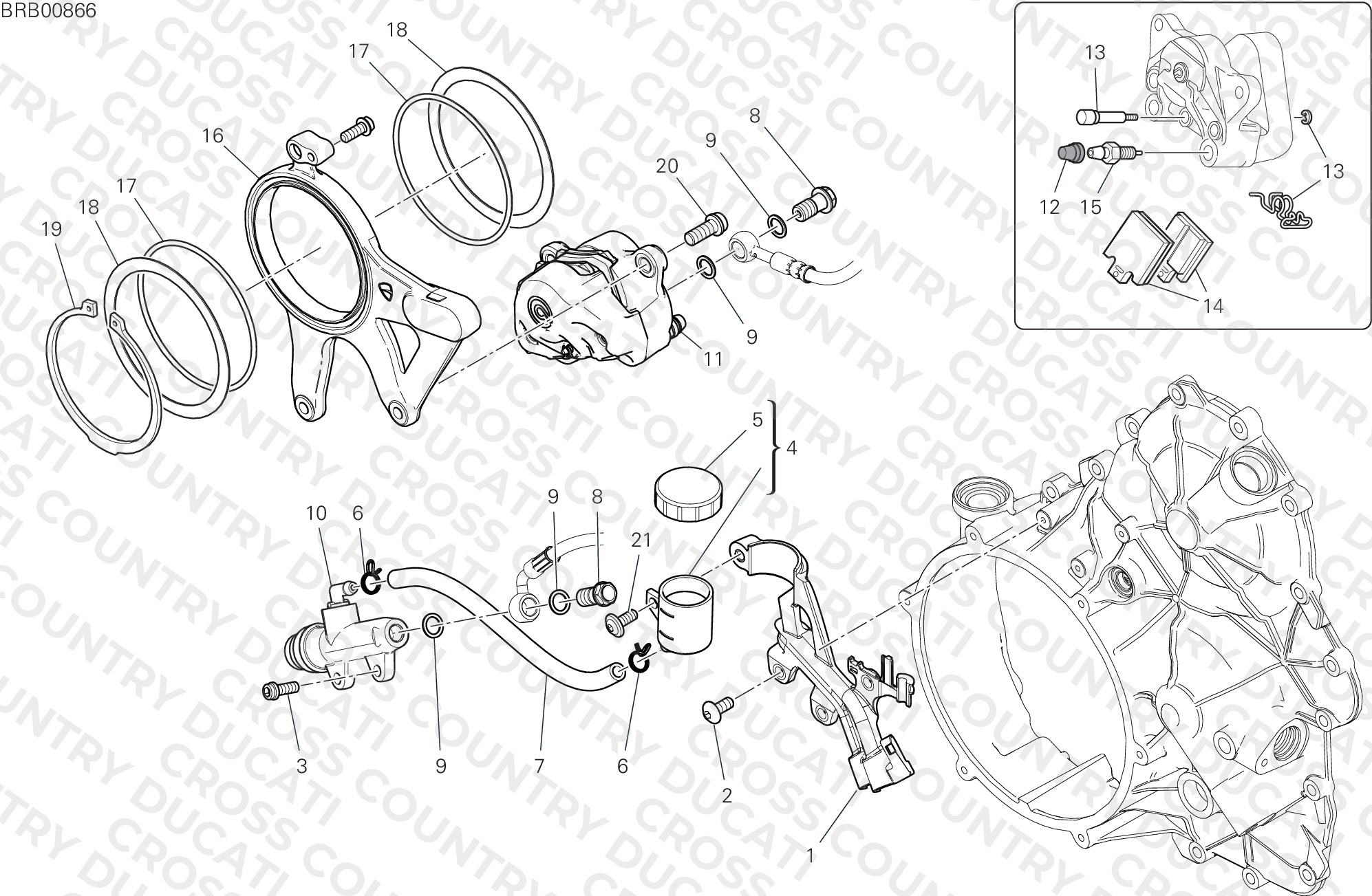 Rear Brake System
