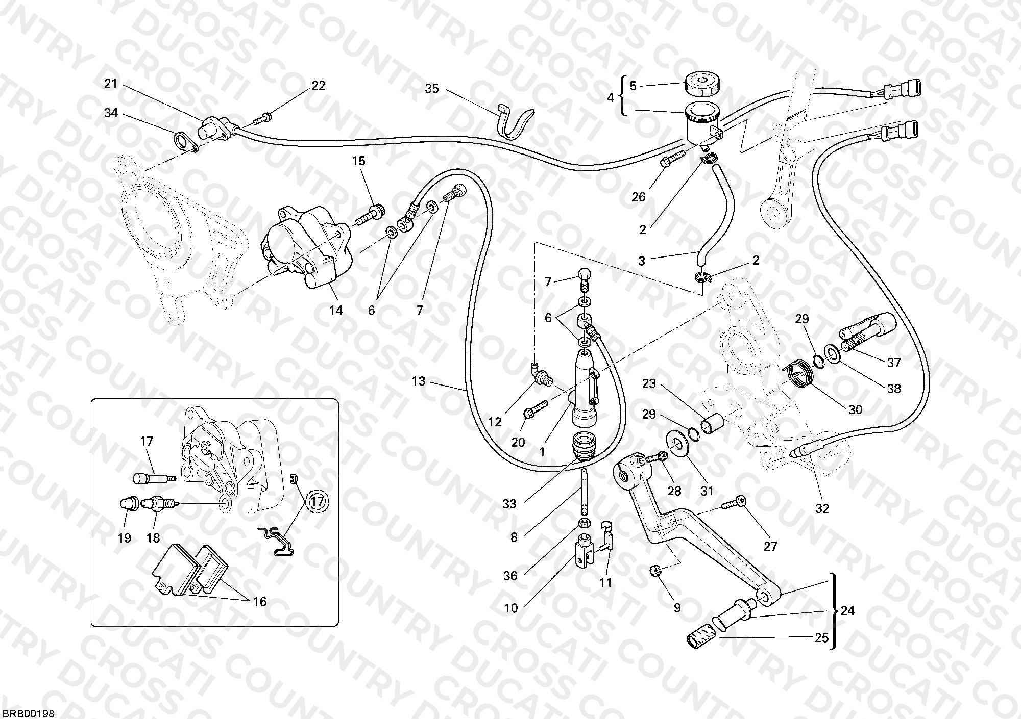 Rear Brake System