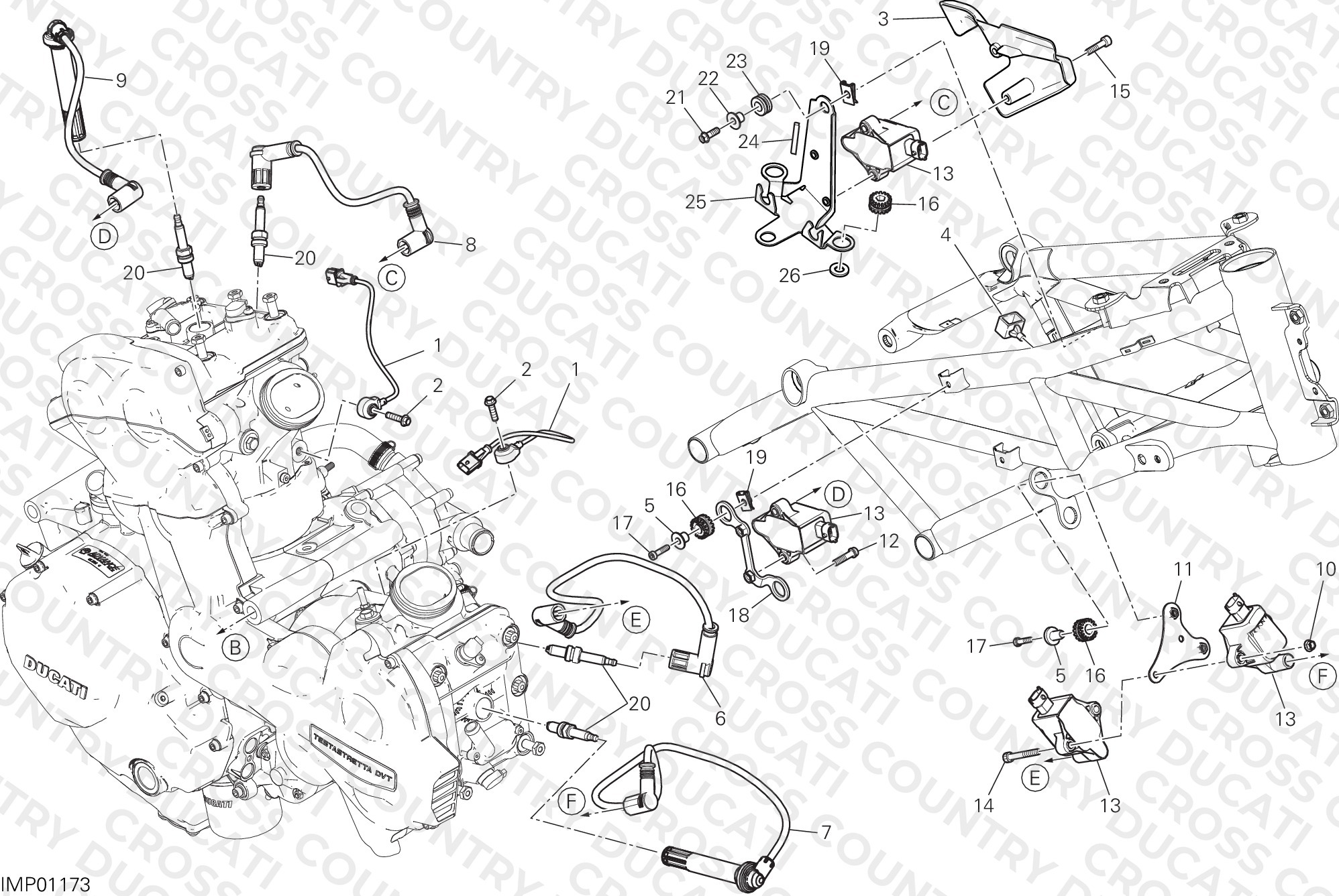 Wiring Harness (Coil)
