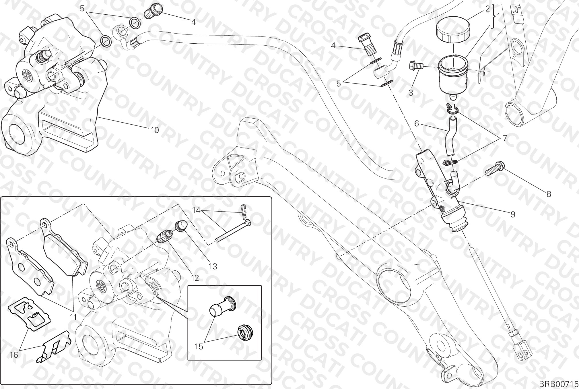 Rear Brake System
