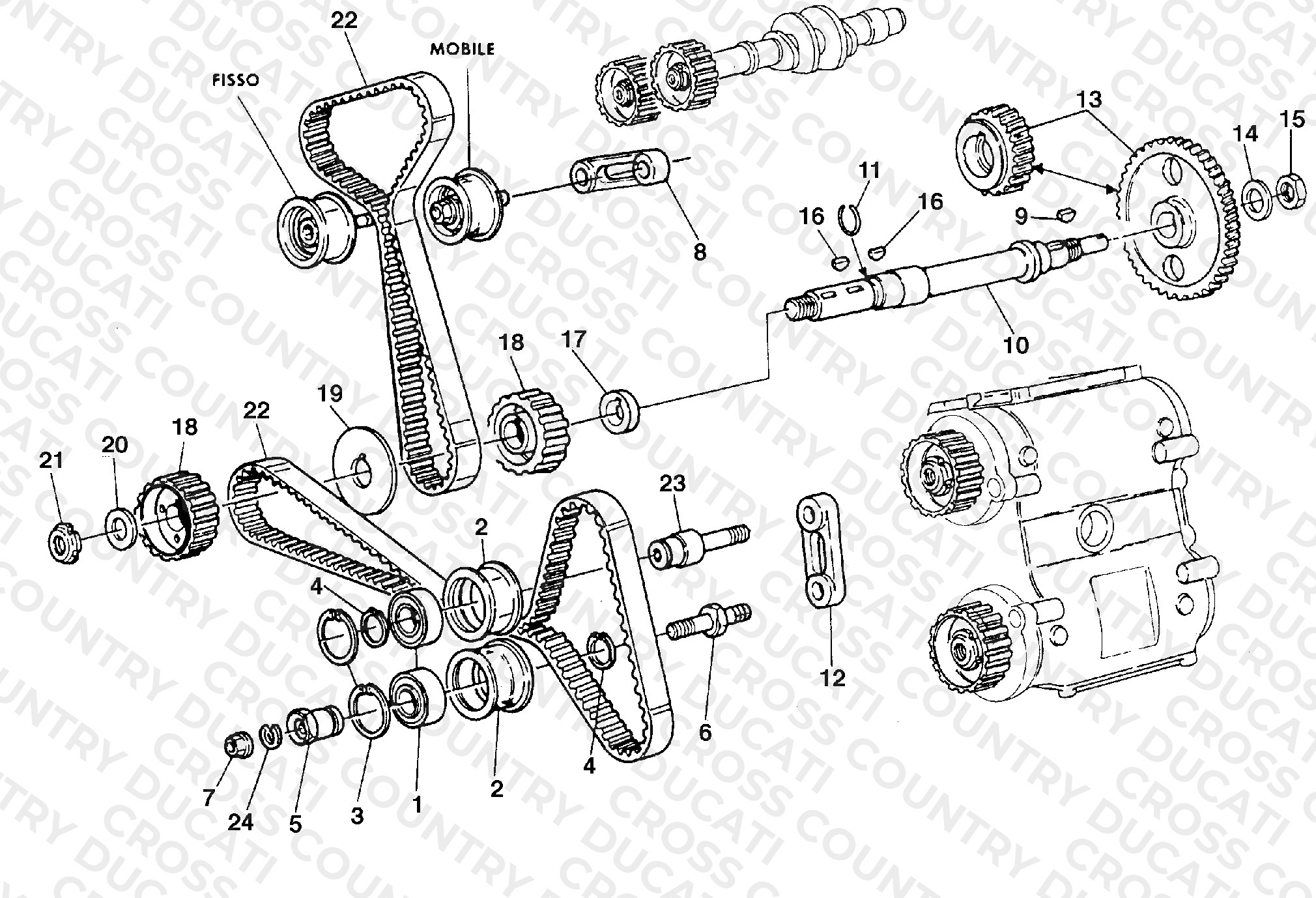 Timing Belt