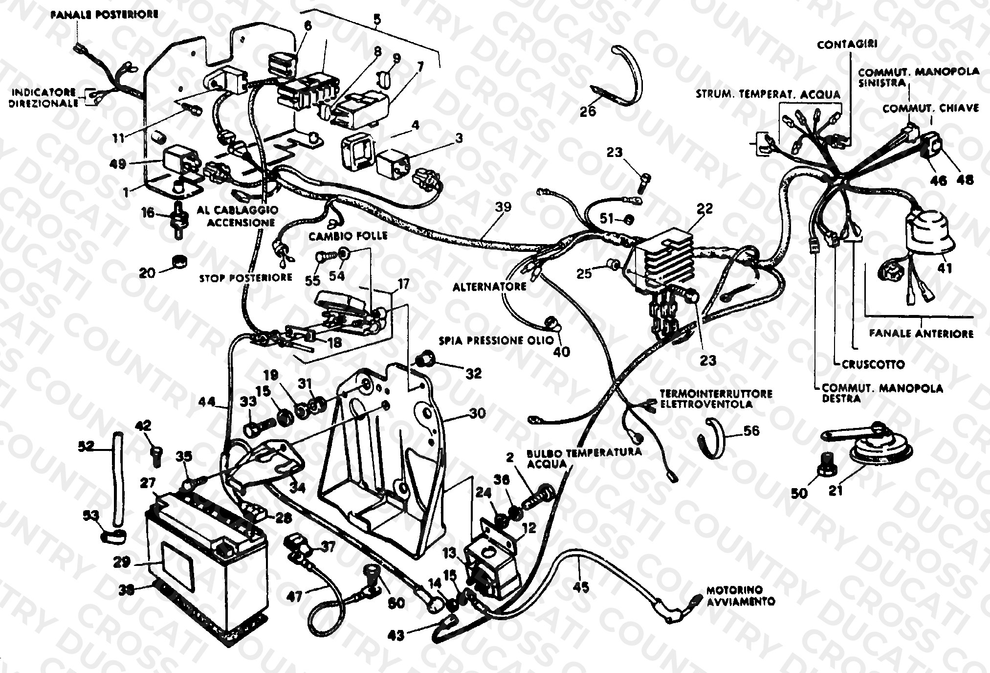 Wiring Harness