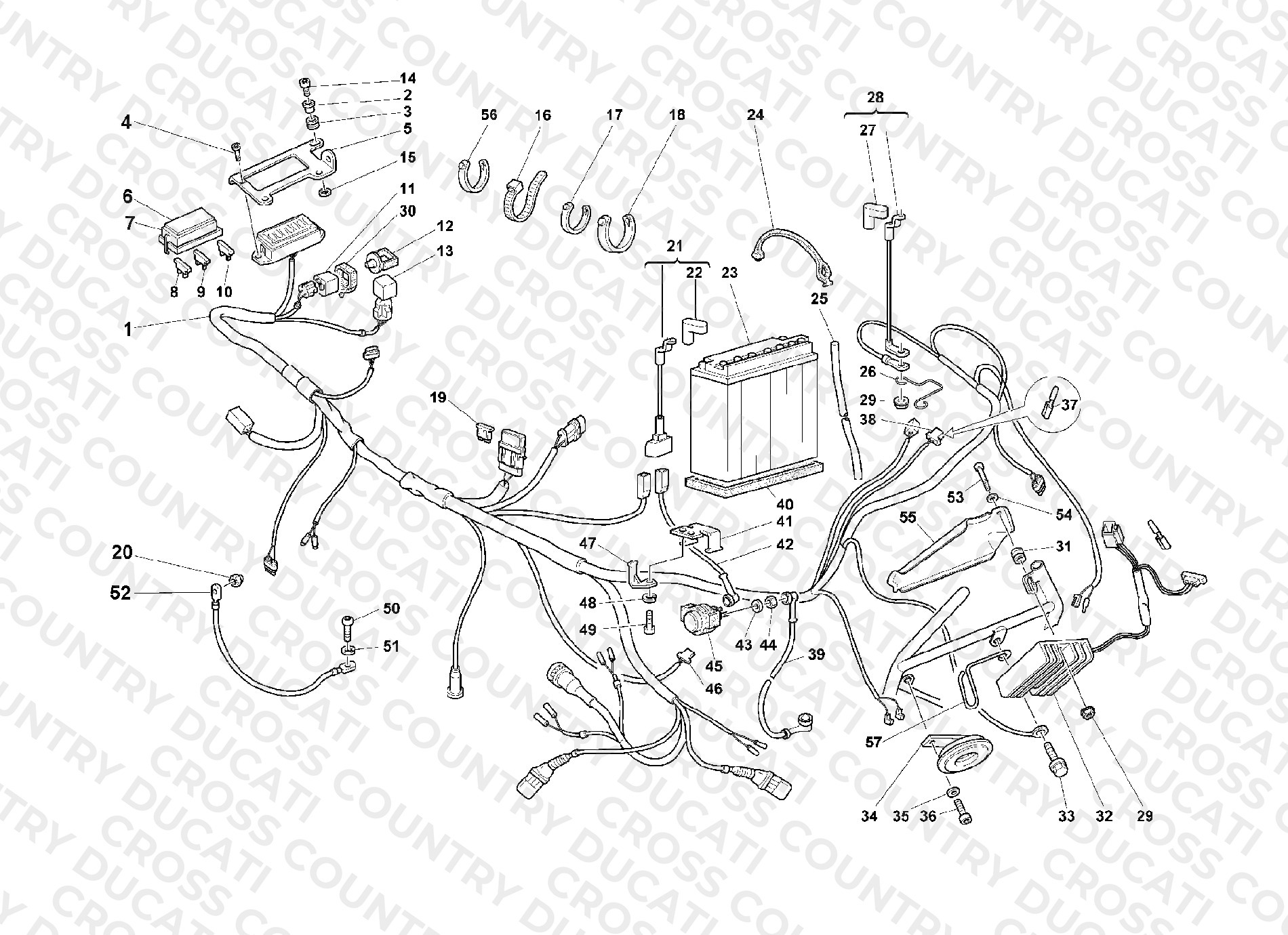 Wiring Harness