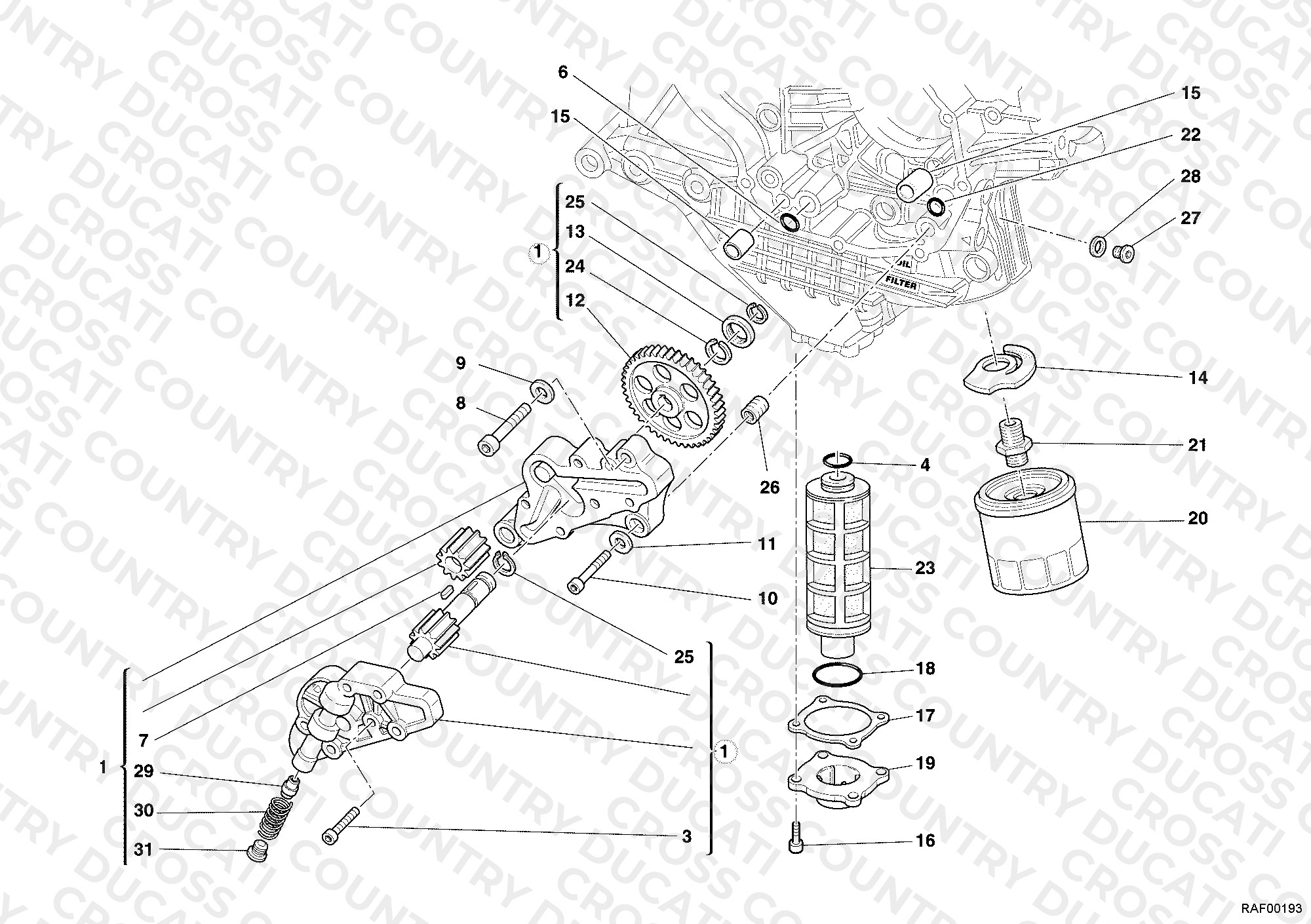 Oil Pump - Filter