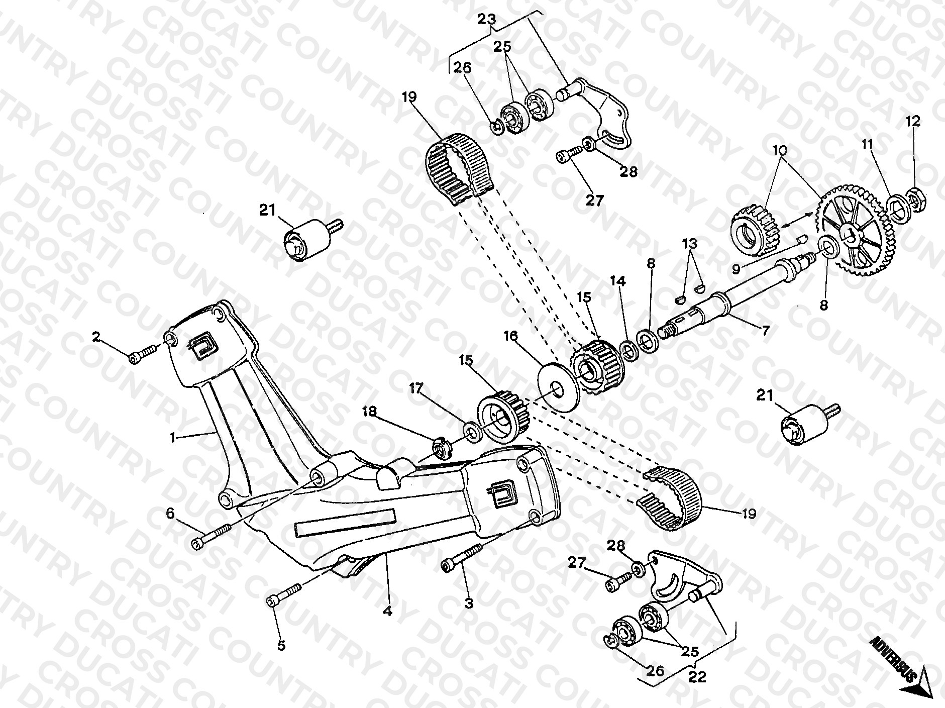 Timing Belt