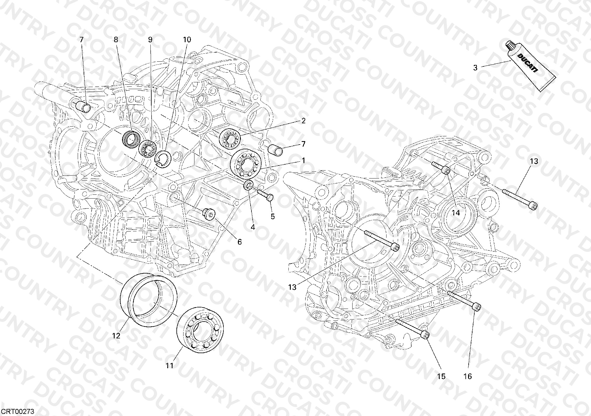 Crankcase Bearings