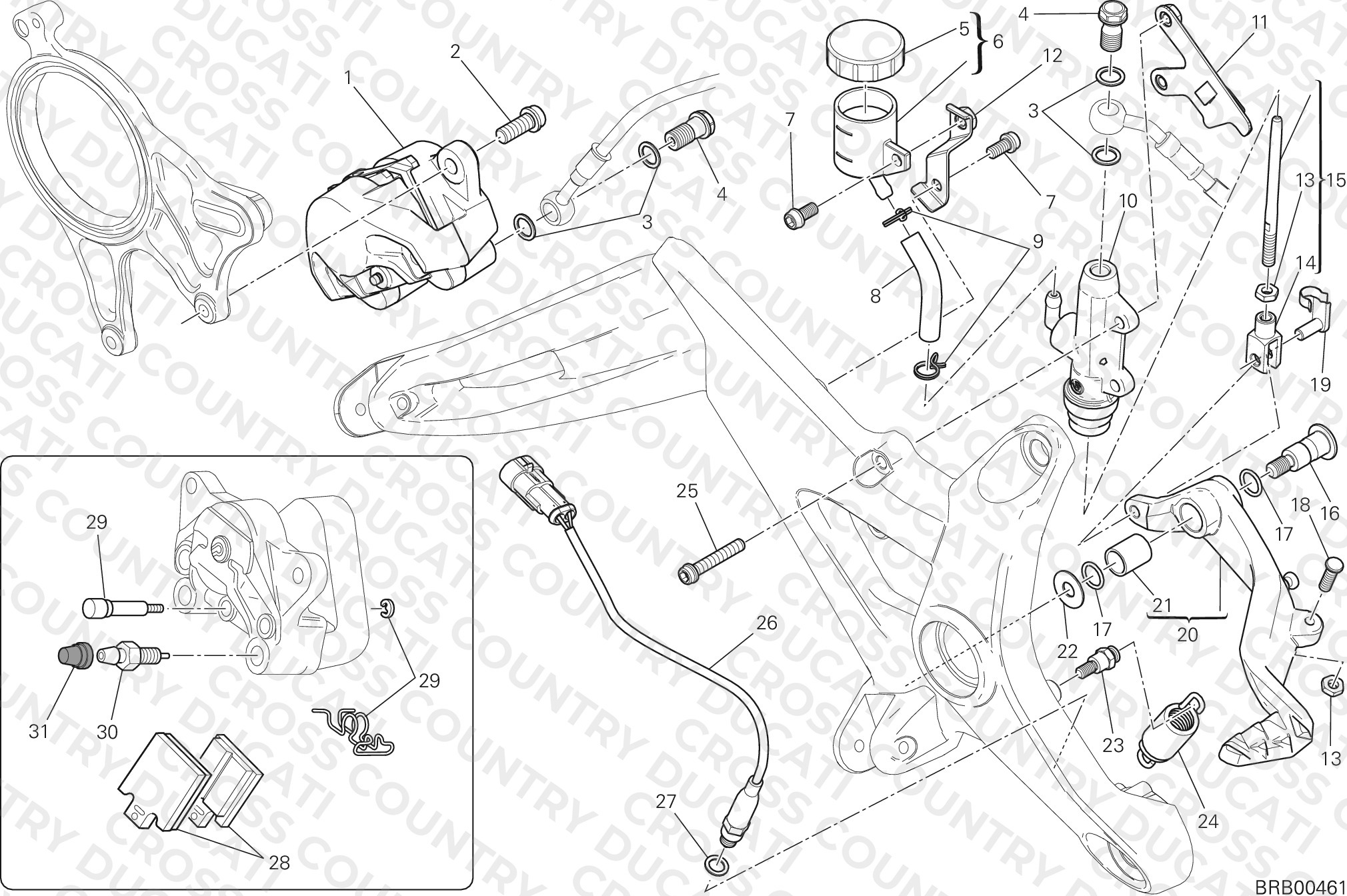 Rear Brake System
