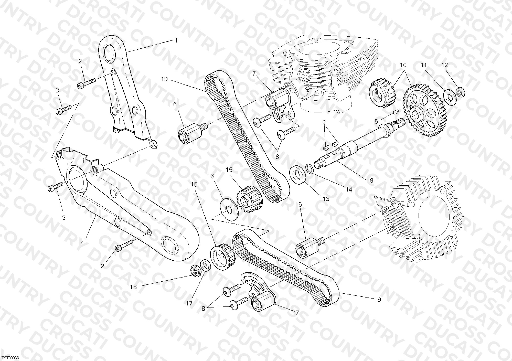 Timing Belt