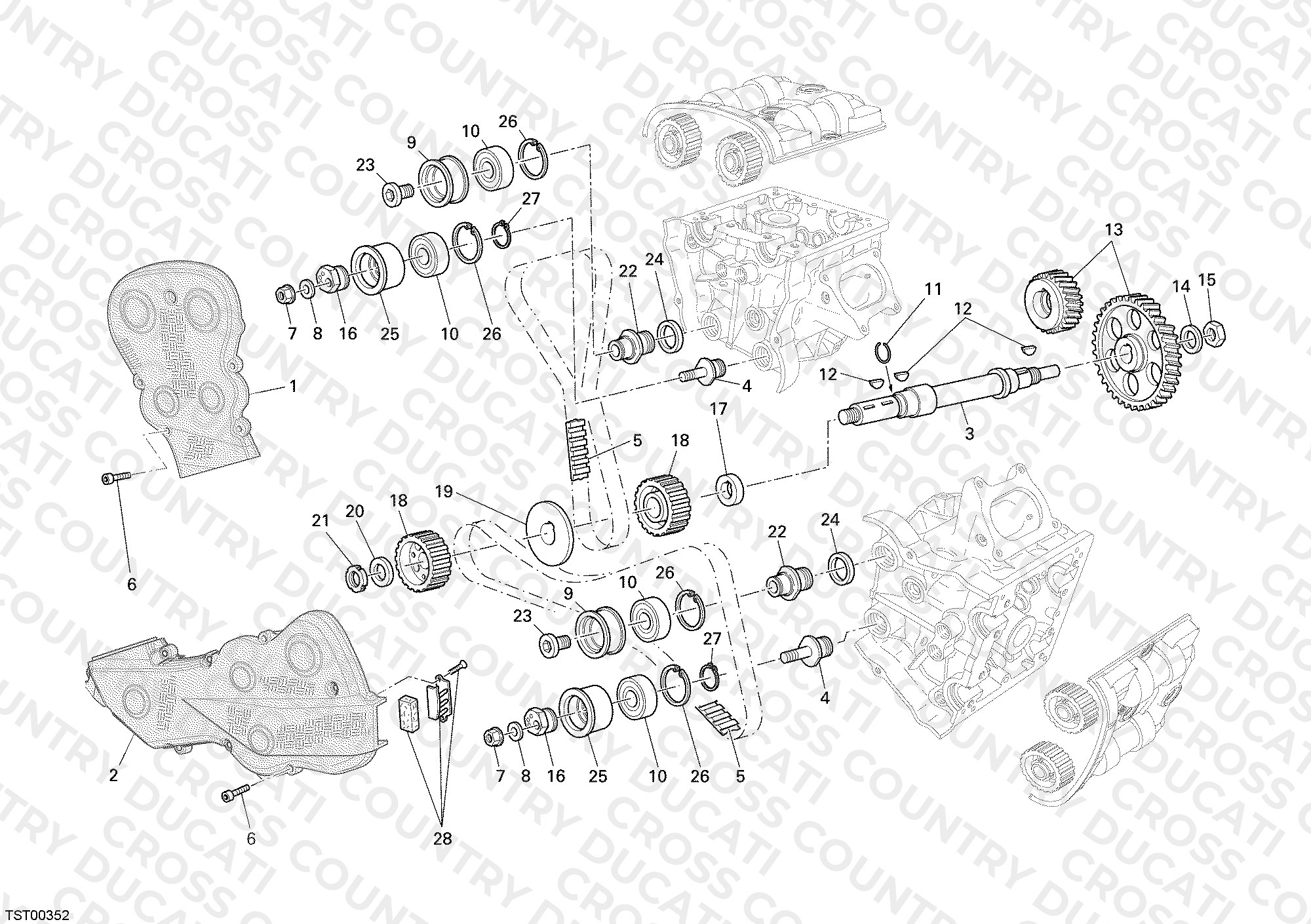 Timing Belt