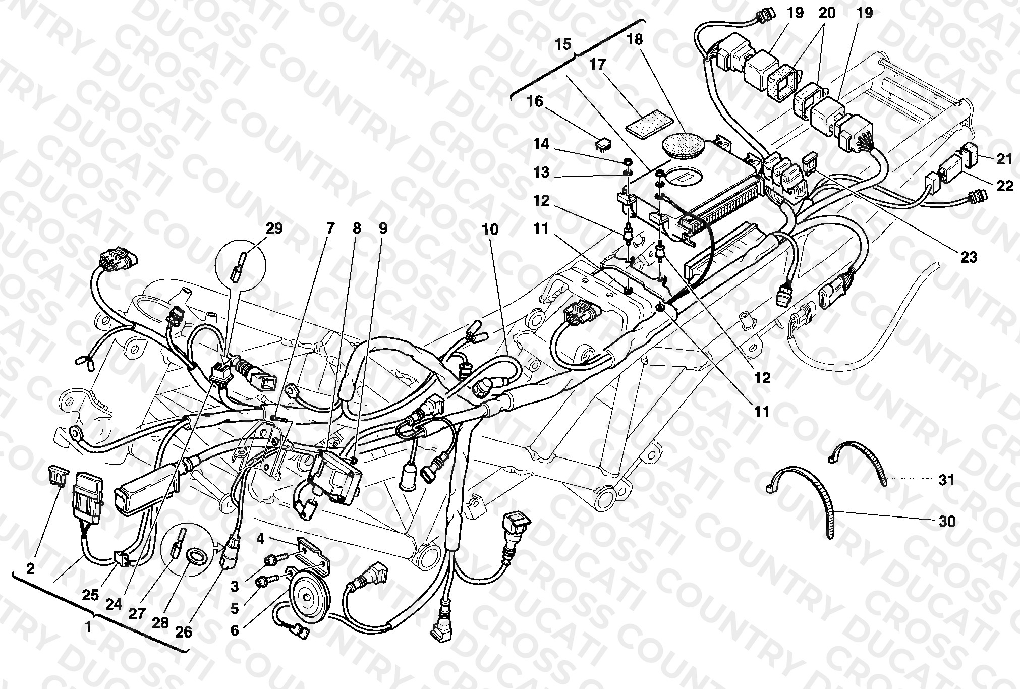 Wiring Harness