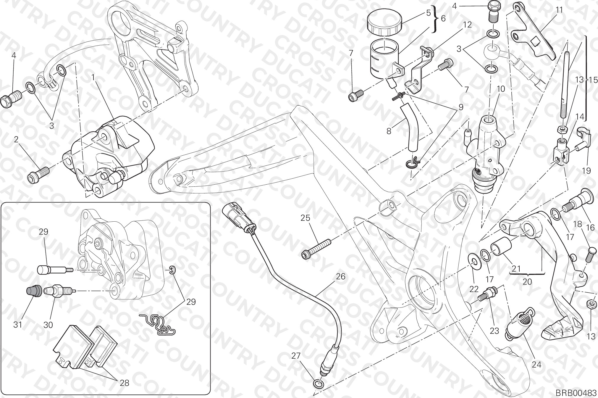 Rear Brake System