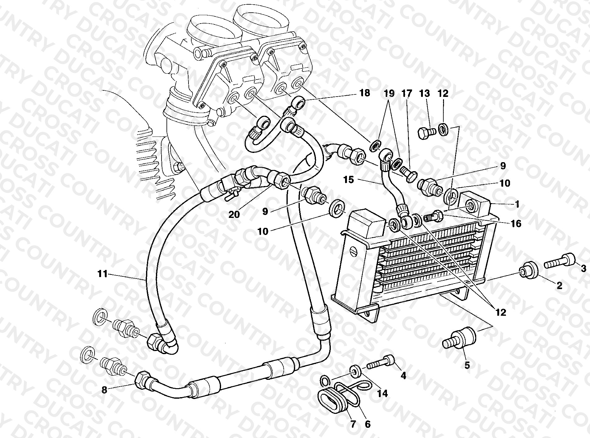 Oil Cooler