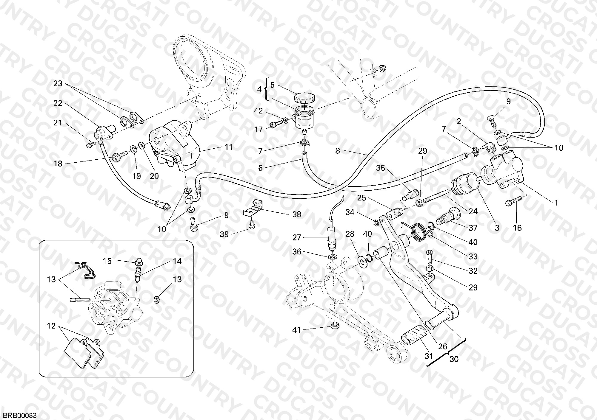 Rear Brake System