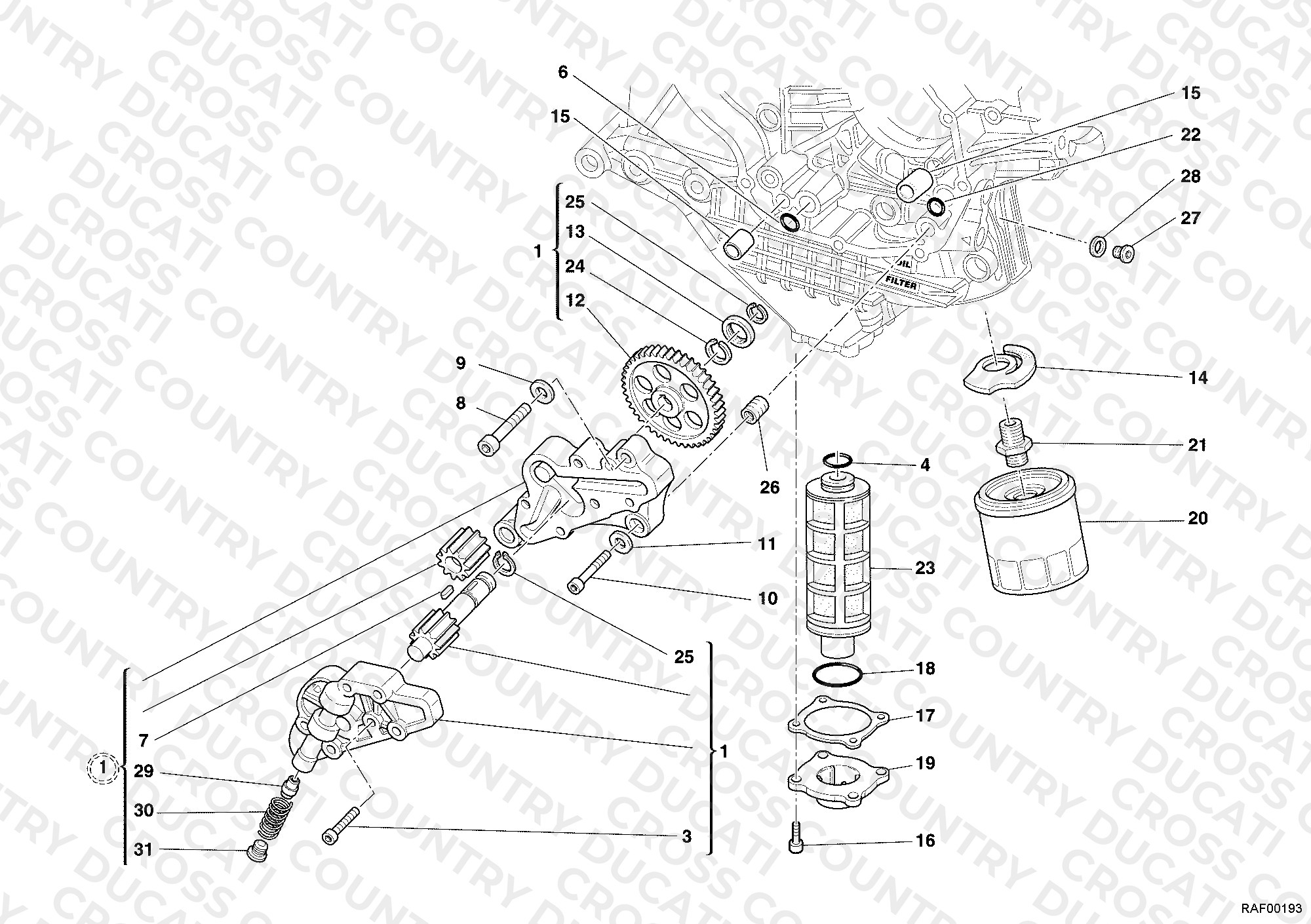 Oil Pump - Filter
