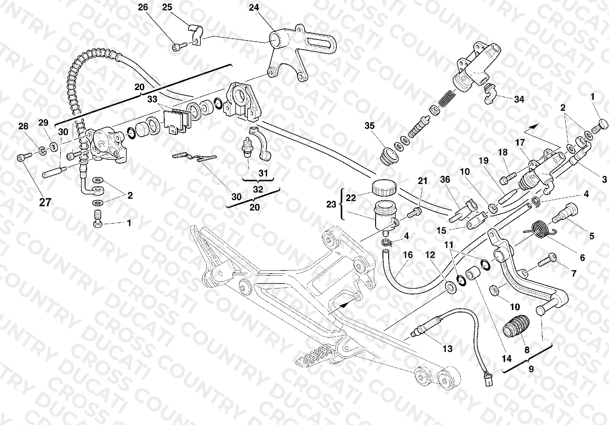 Rear Brake System