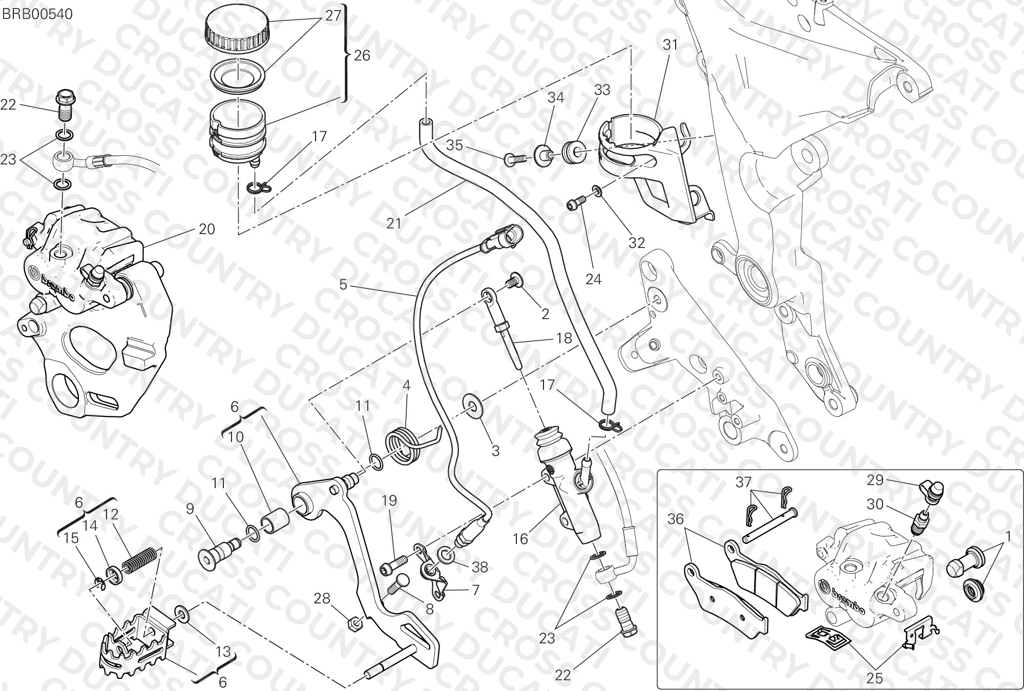 Rear Braking System