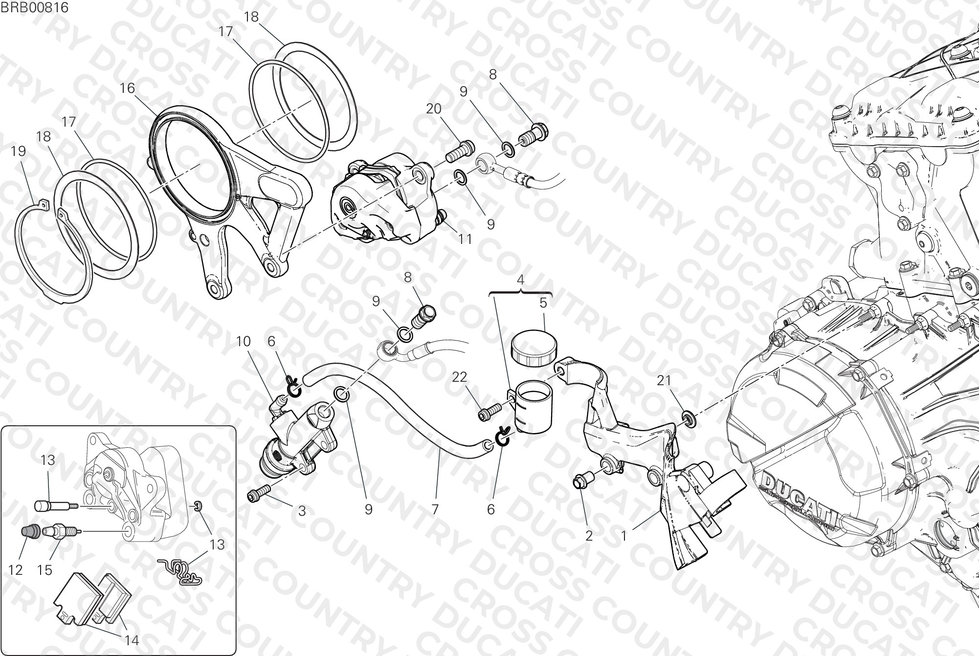 Rear Brake System
