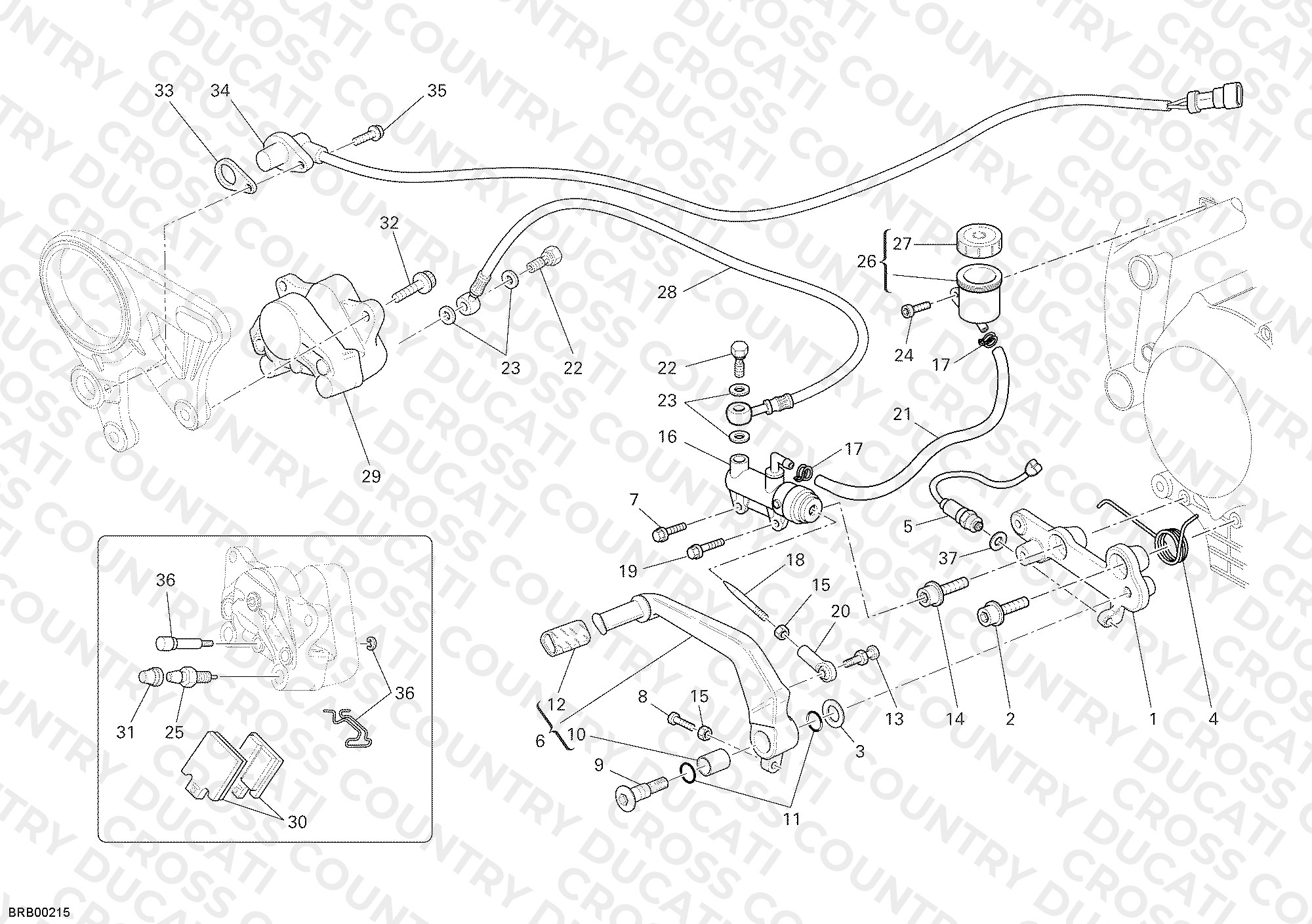 Rear Brake System
