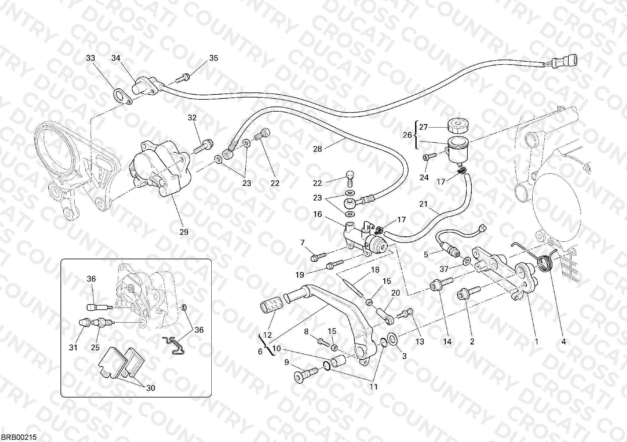 Rear Brake System