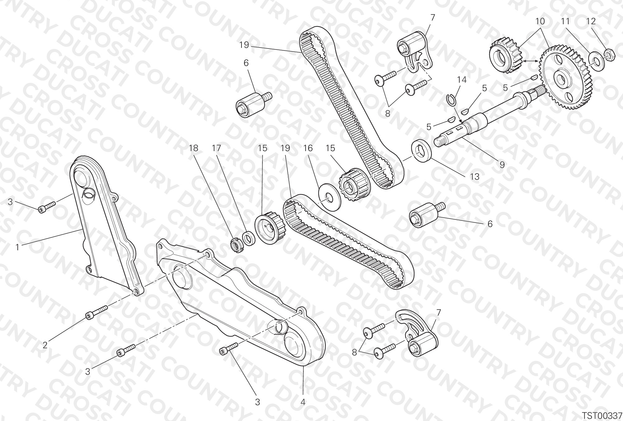Timing Belt