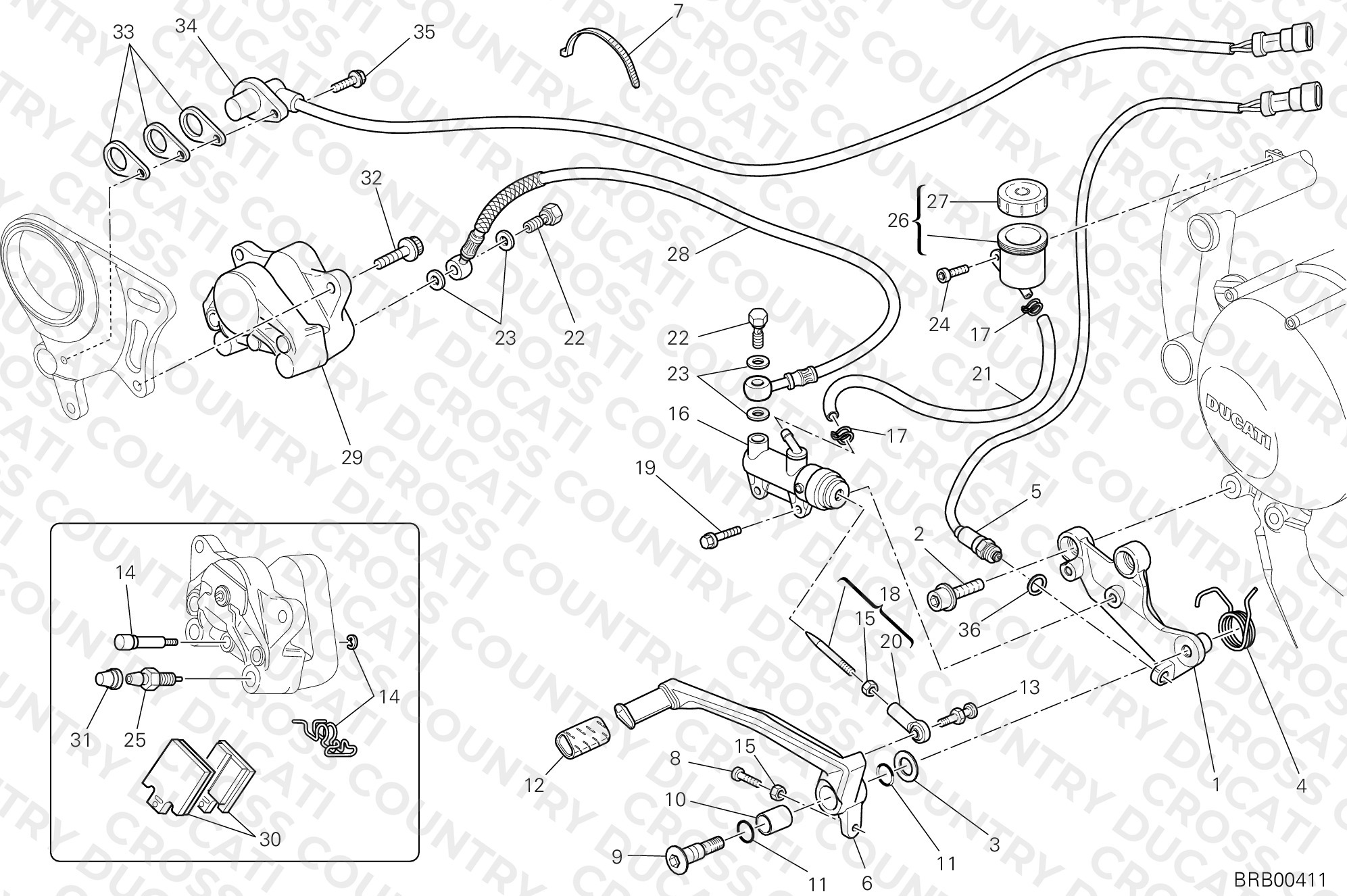 Rear Brake System