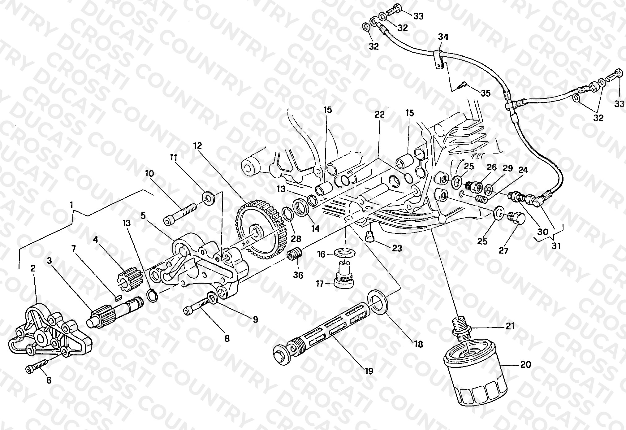 Oil Pump - Filter
