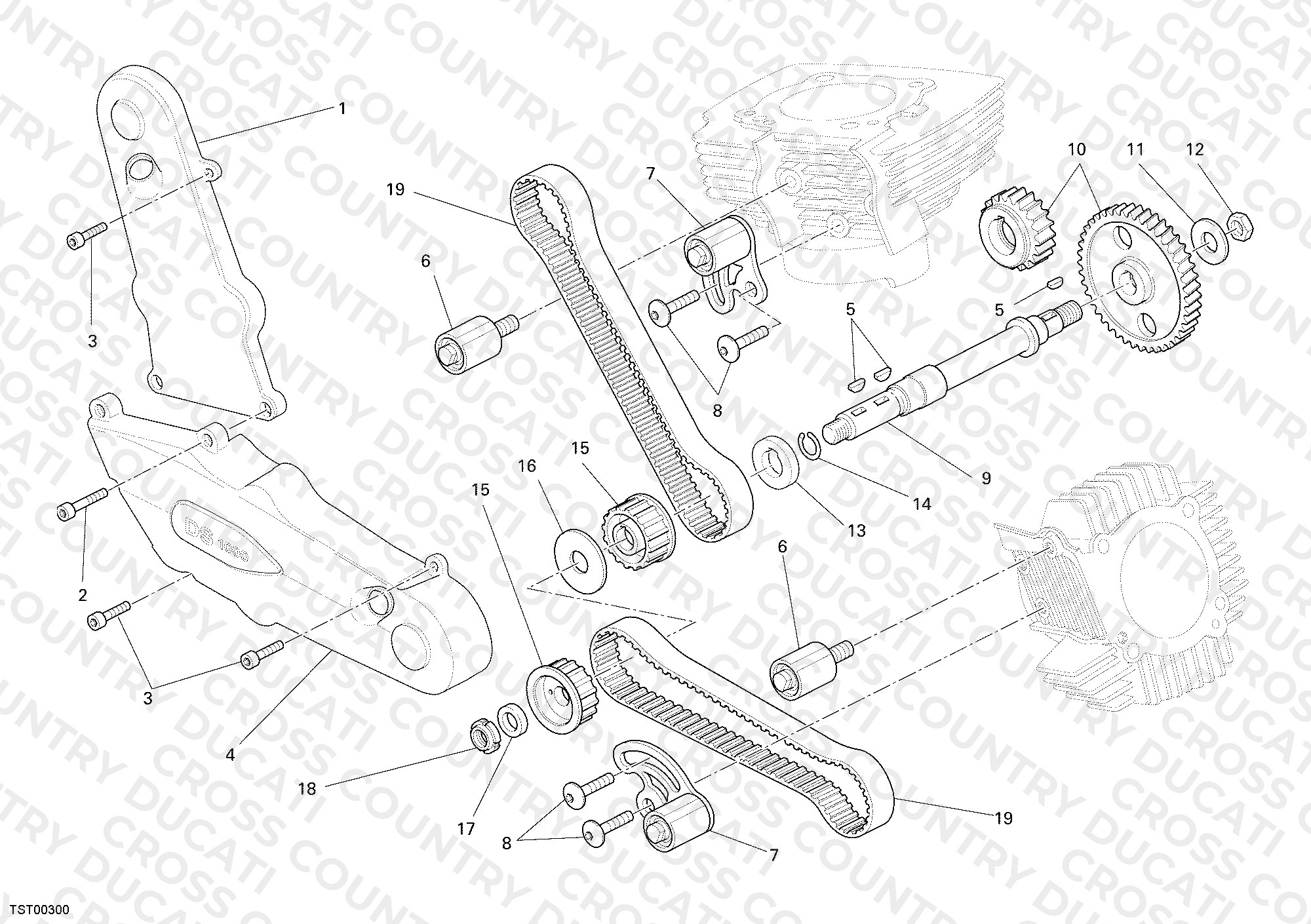 Timing Belt