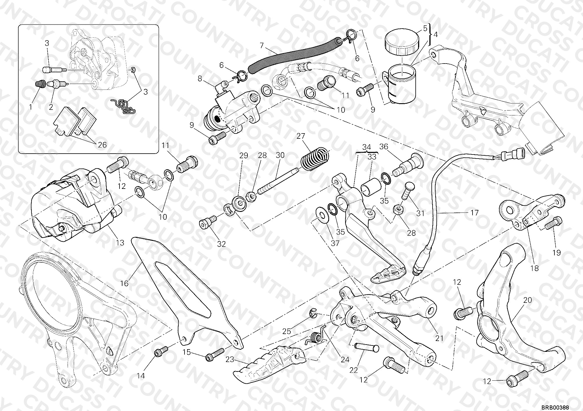 Rear Brake System