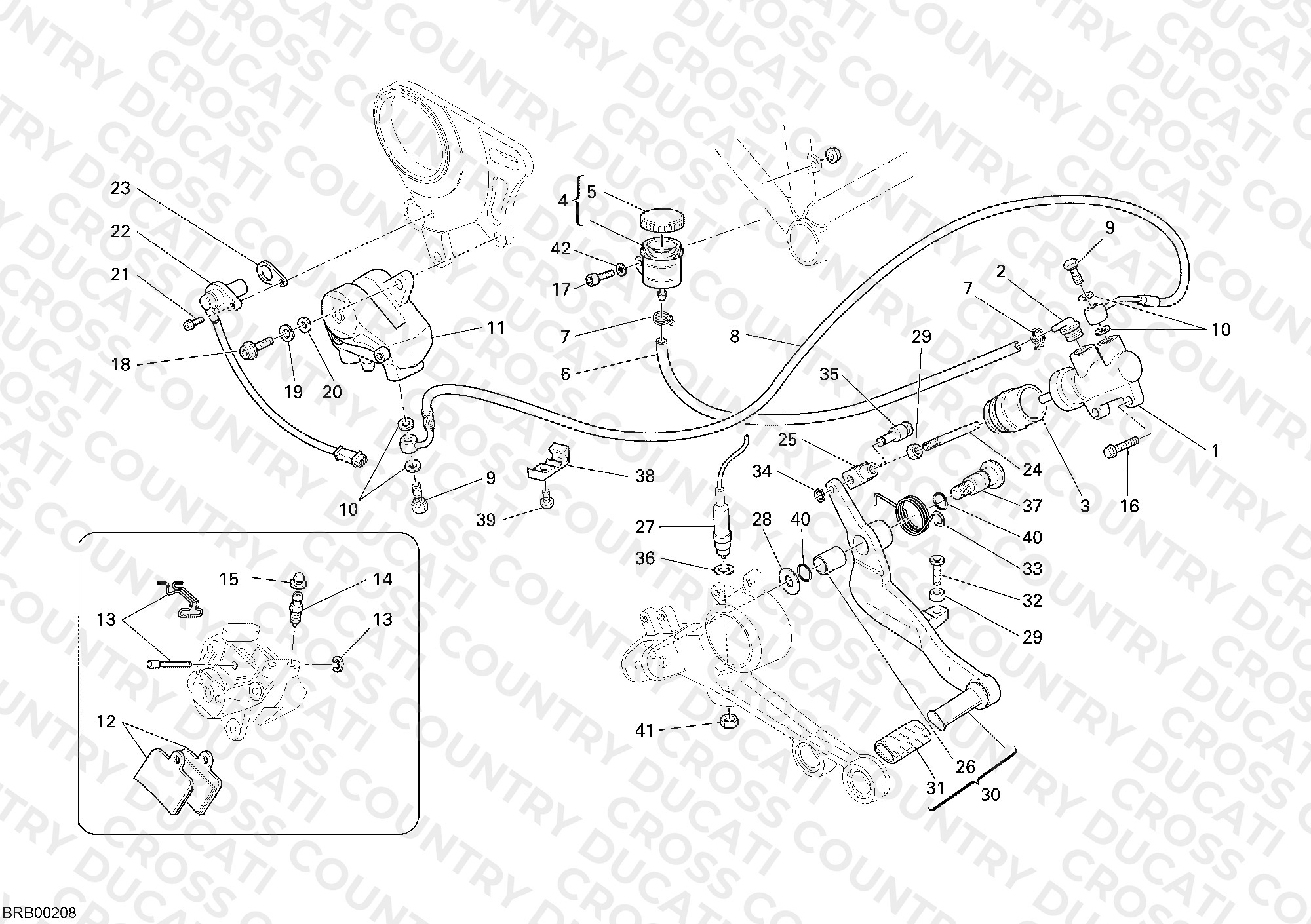 Rear Brake System