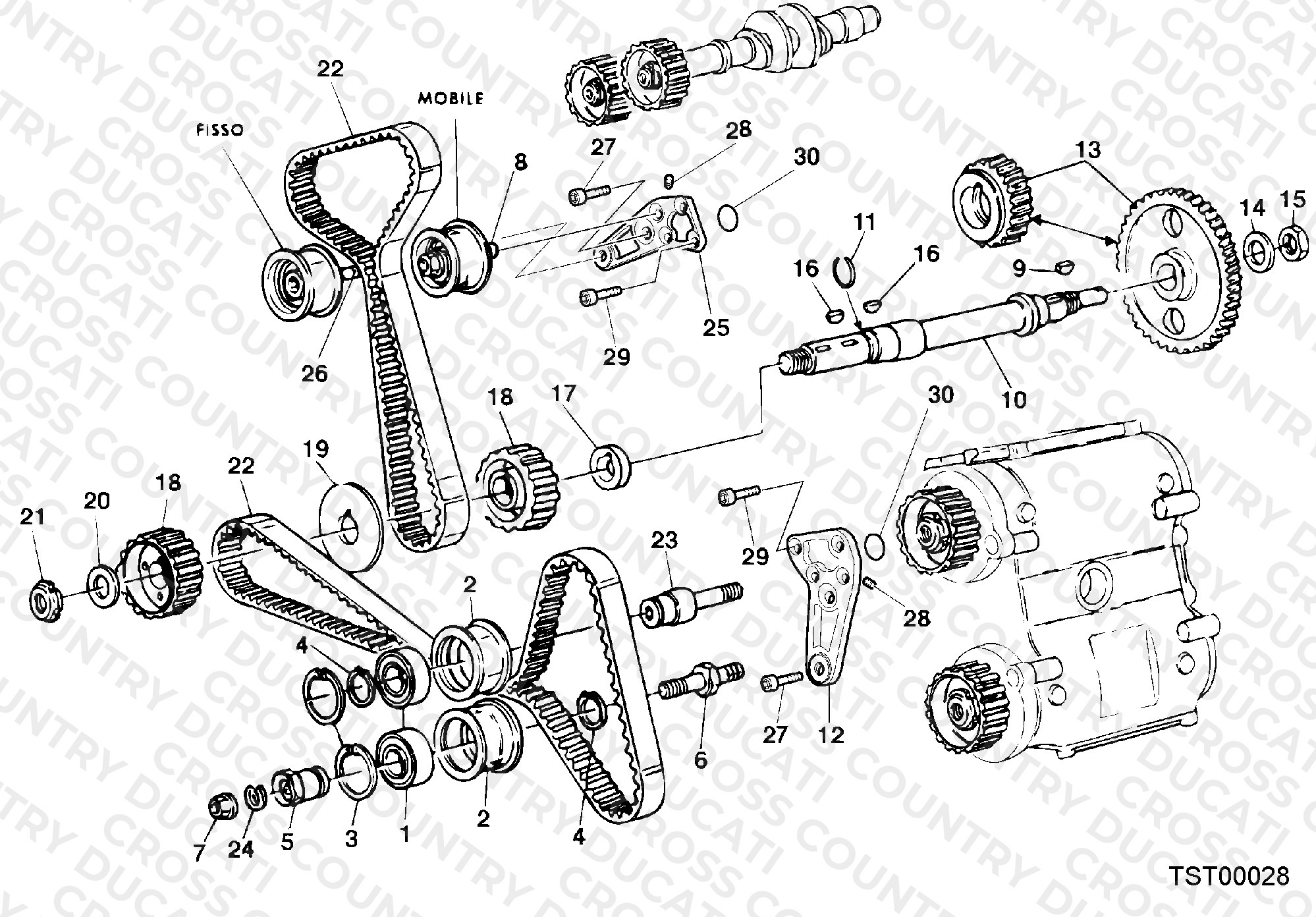 Timing Belt