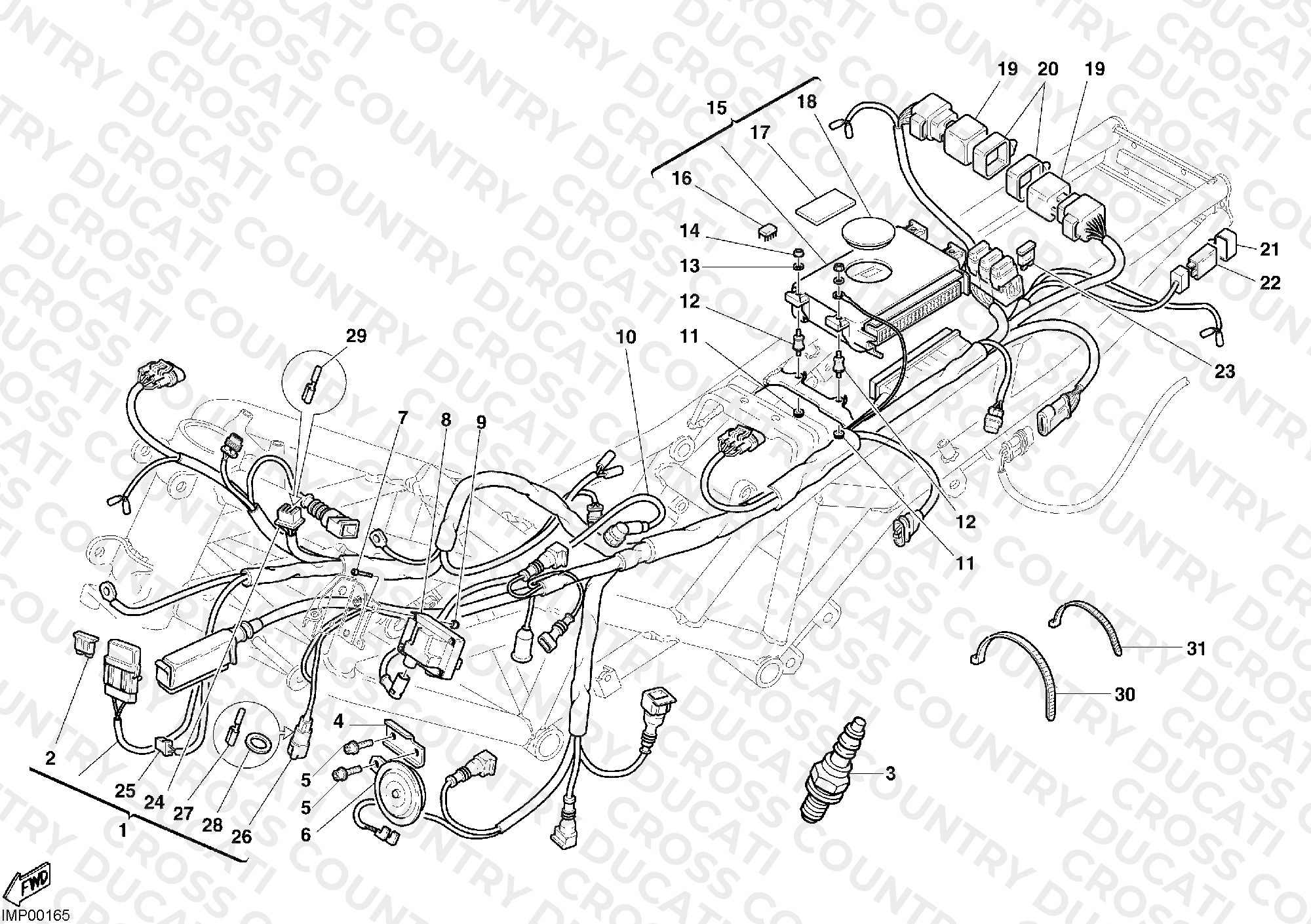 Wiring Harness