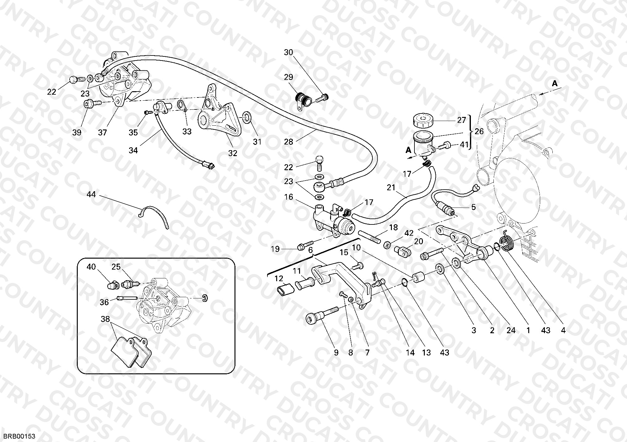Rear Brake System