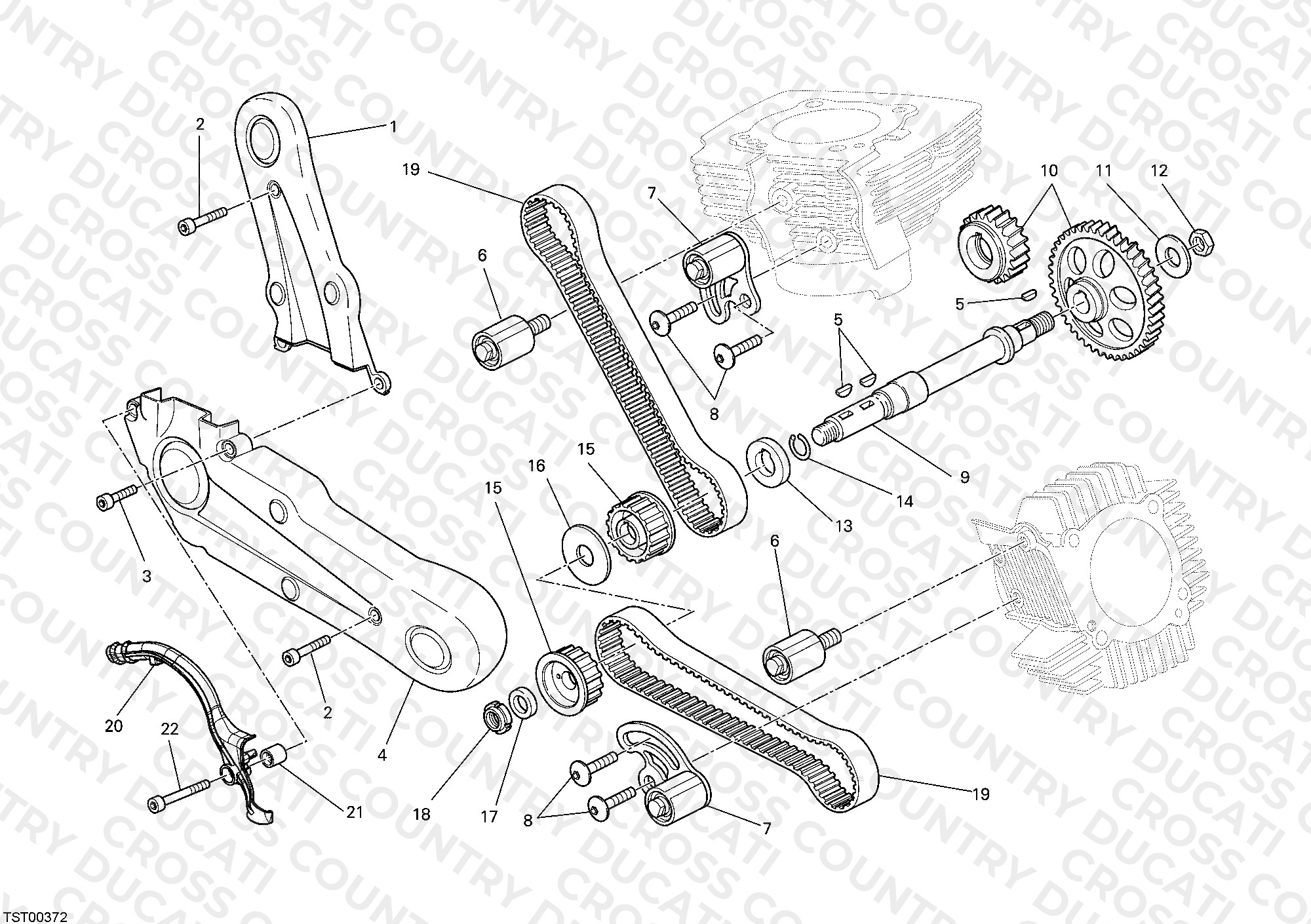 Timing Belt