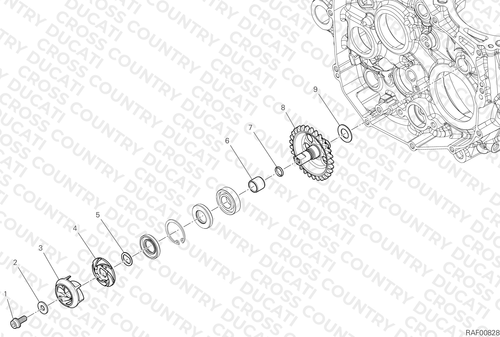 Water Pump