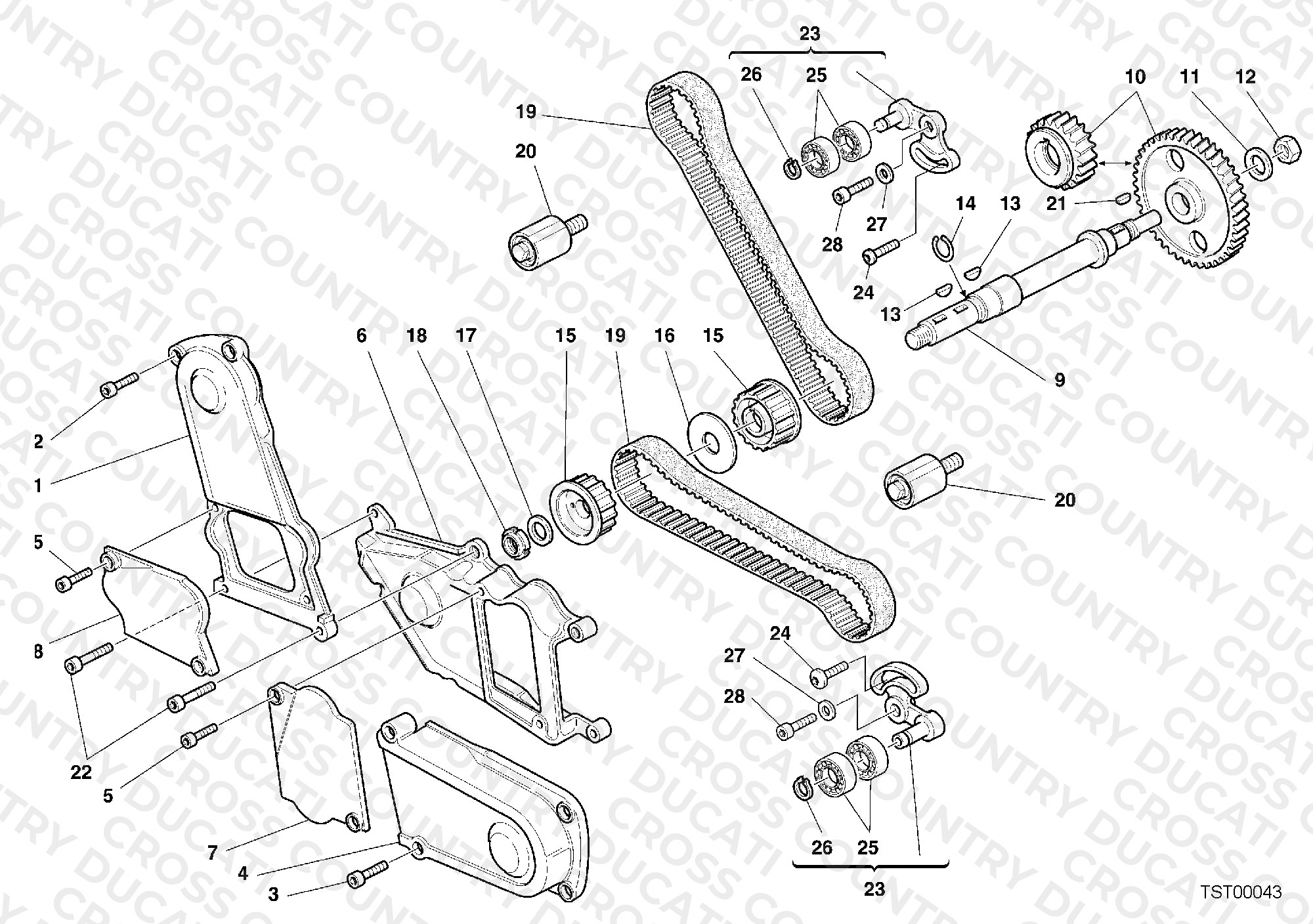 Timing Belt