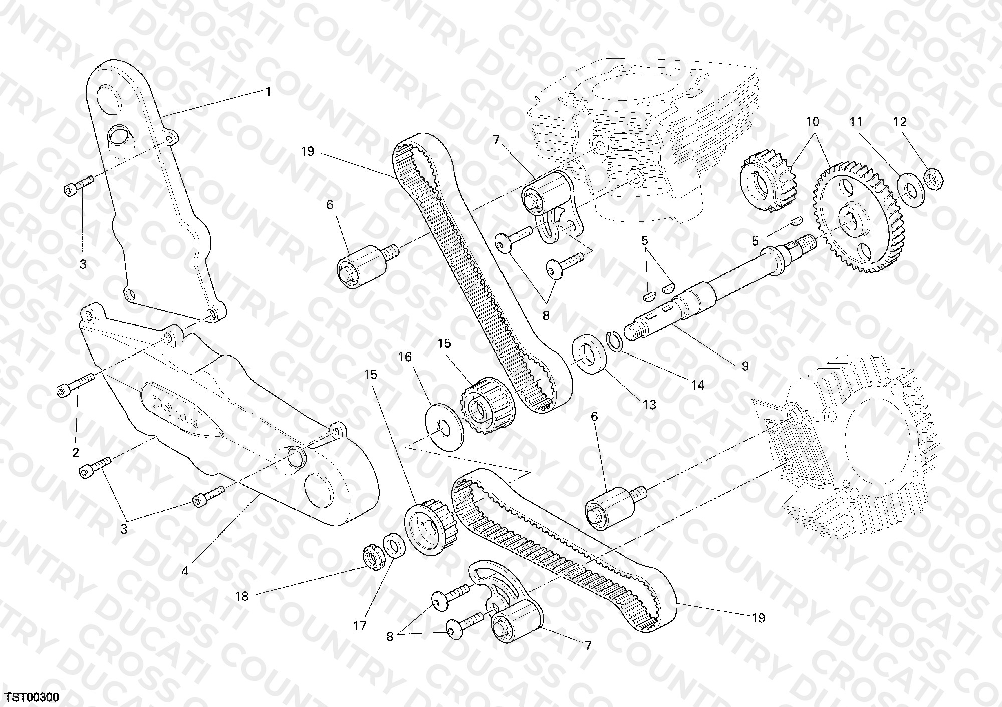 Timing Belt