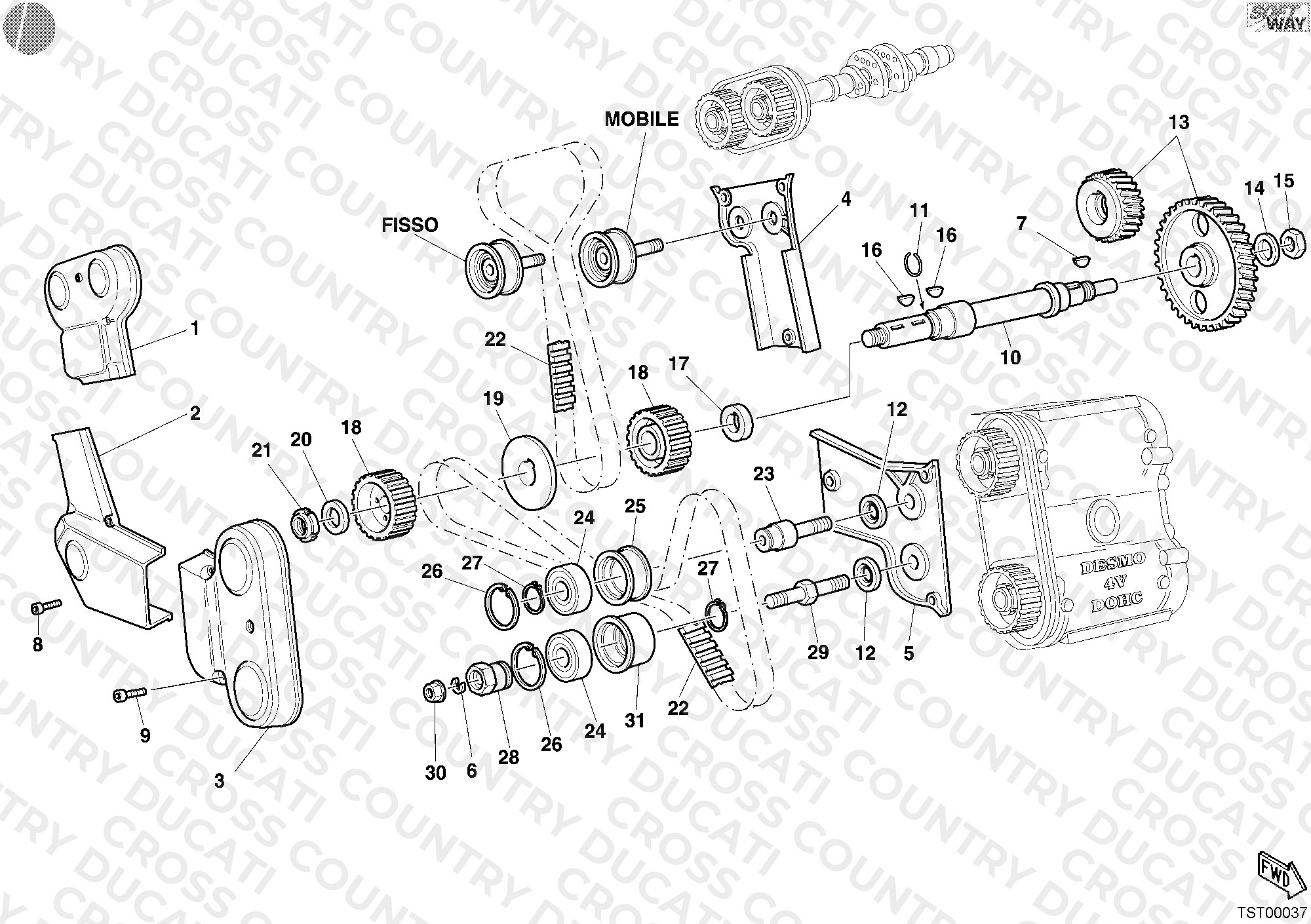 Timing Belt