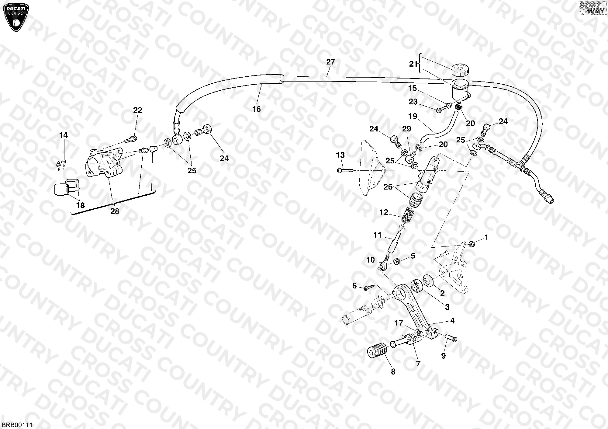 Rear Brake System