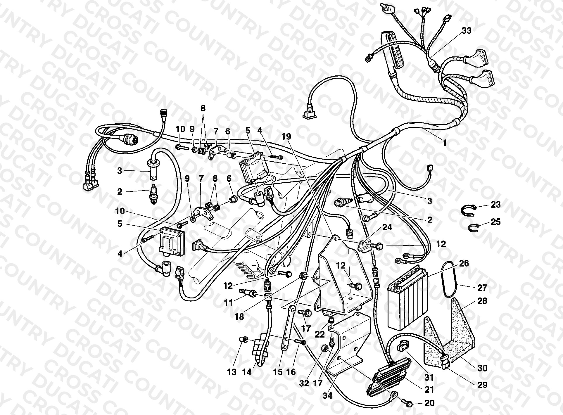 Wiring Harness