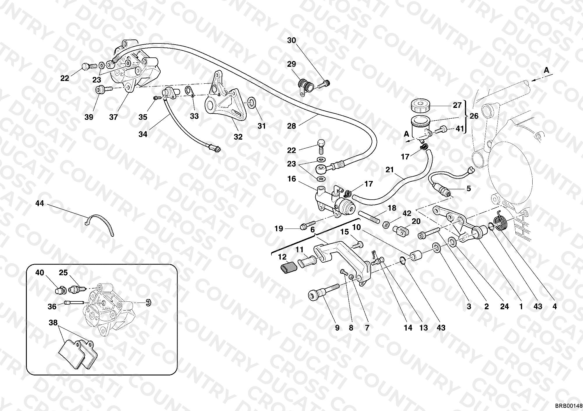 Rear Brake System