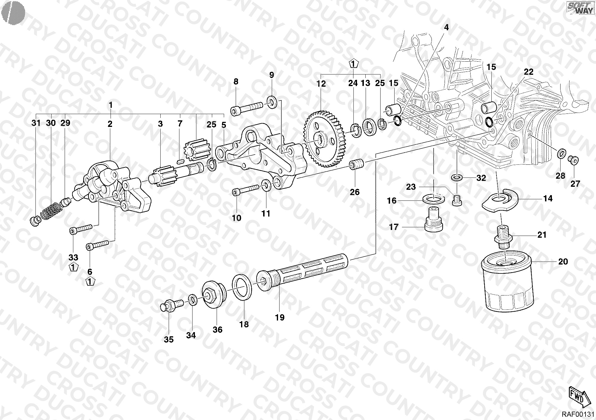 Oil Pump - Filter